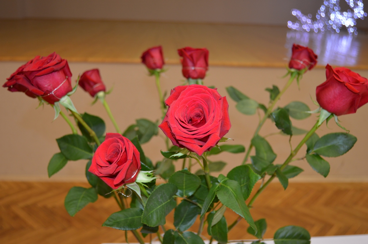 DSC_0497 (1280x851)
